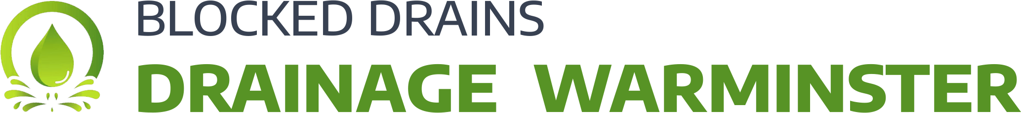 website logo